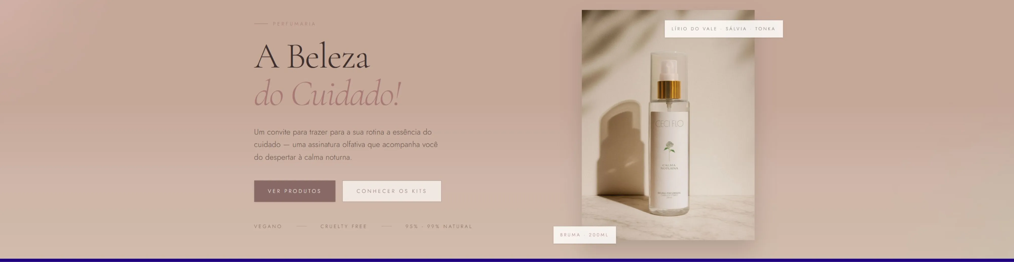 Banner promocional