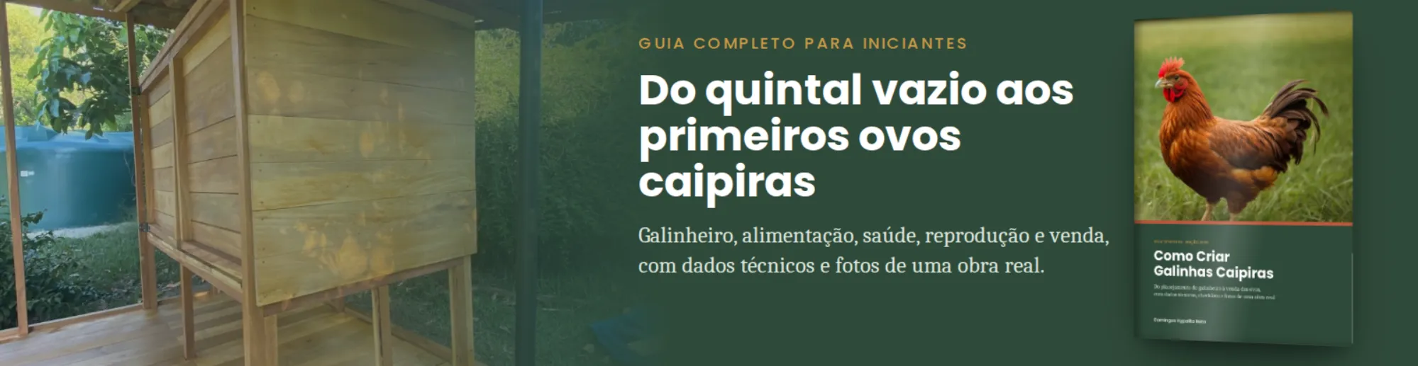 Banner promocional