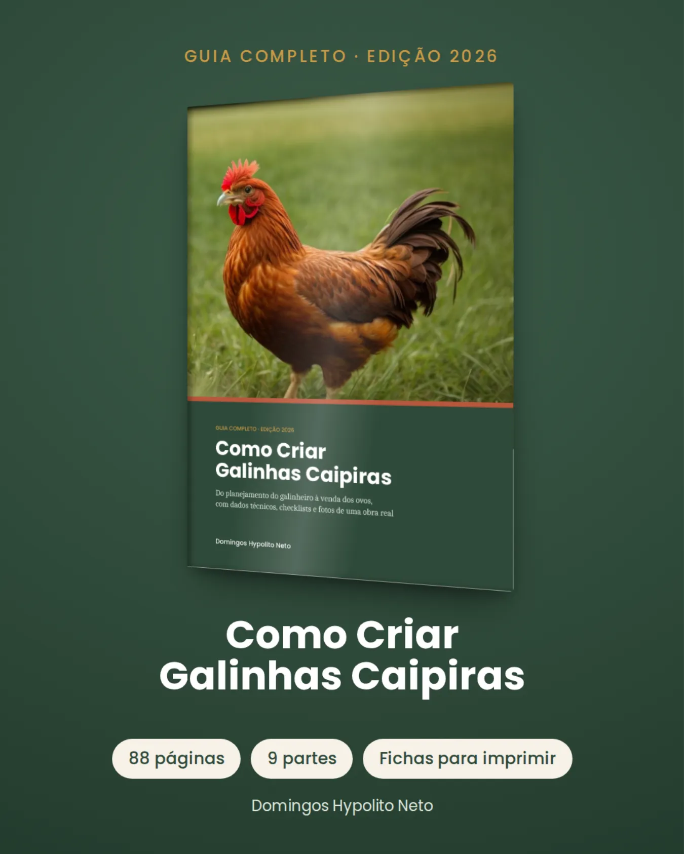 Guia em PDF com 88 páginas e 9 partes: do planejamento do galinheiro à venda dos ovos. Inclui checklists, calendário do primeiro ano e fichas para imprimir.