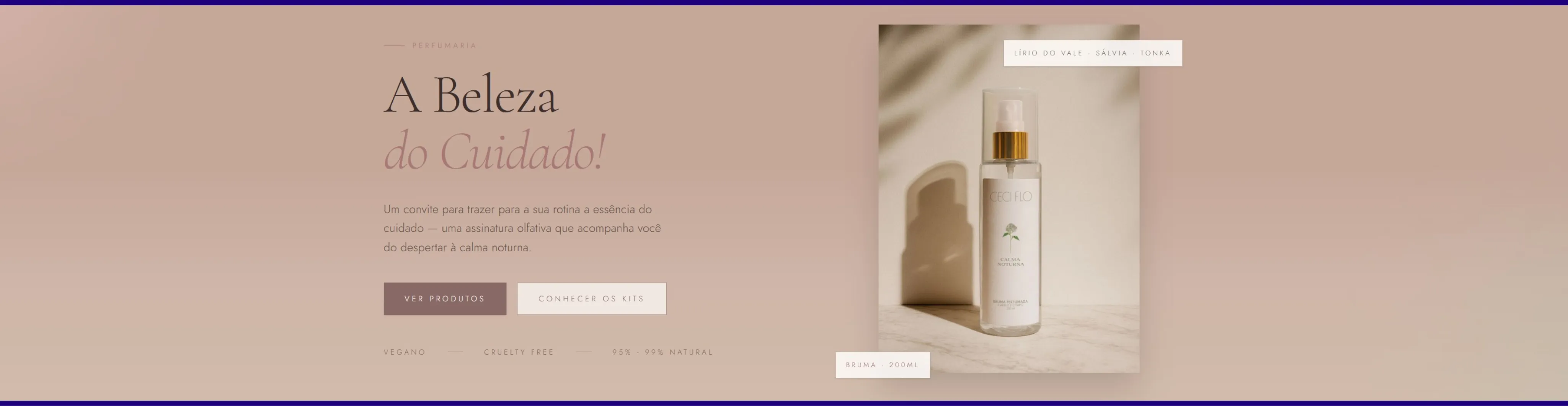Banner promocional
