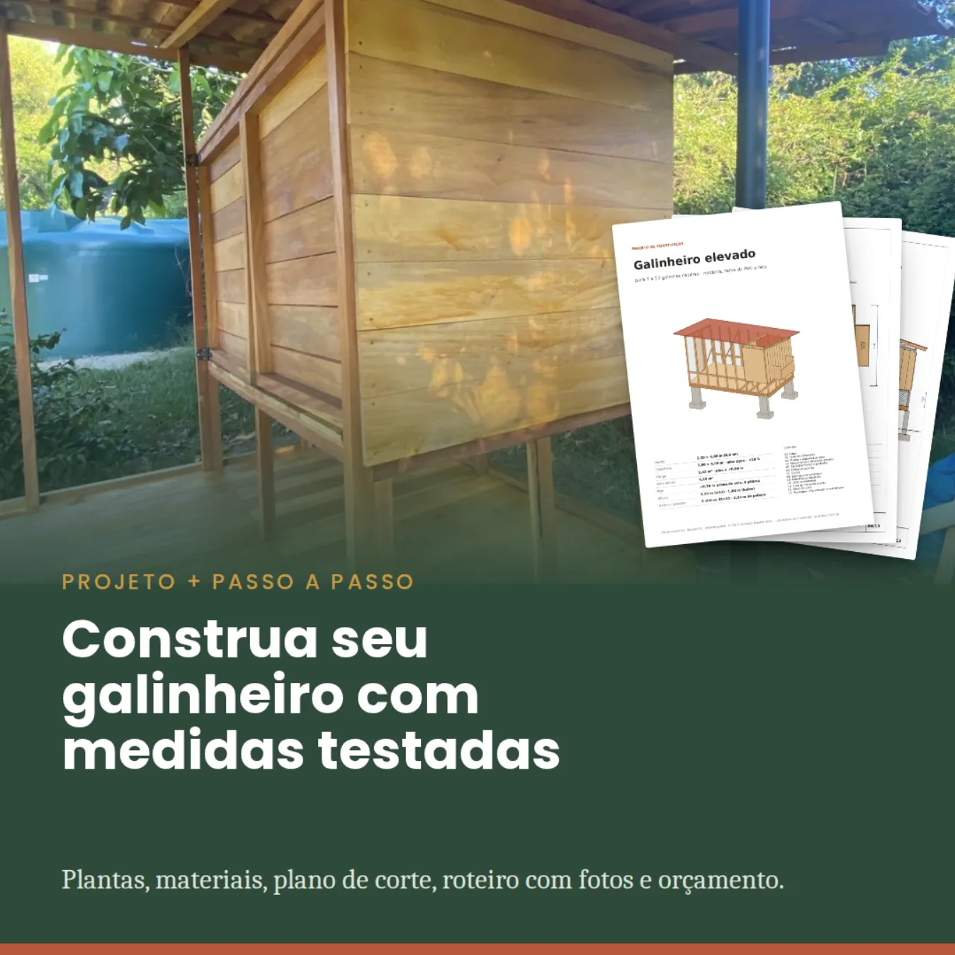 Construa um Galinheiro Premium - Projeto Completo Passo a Passo