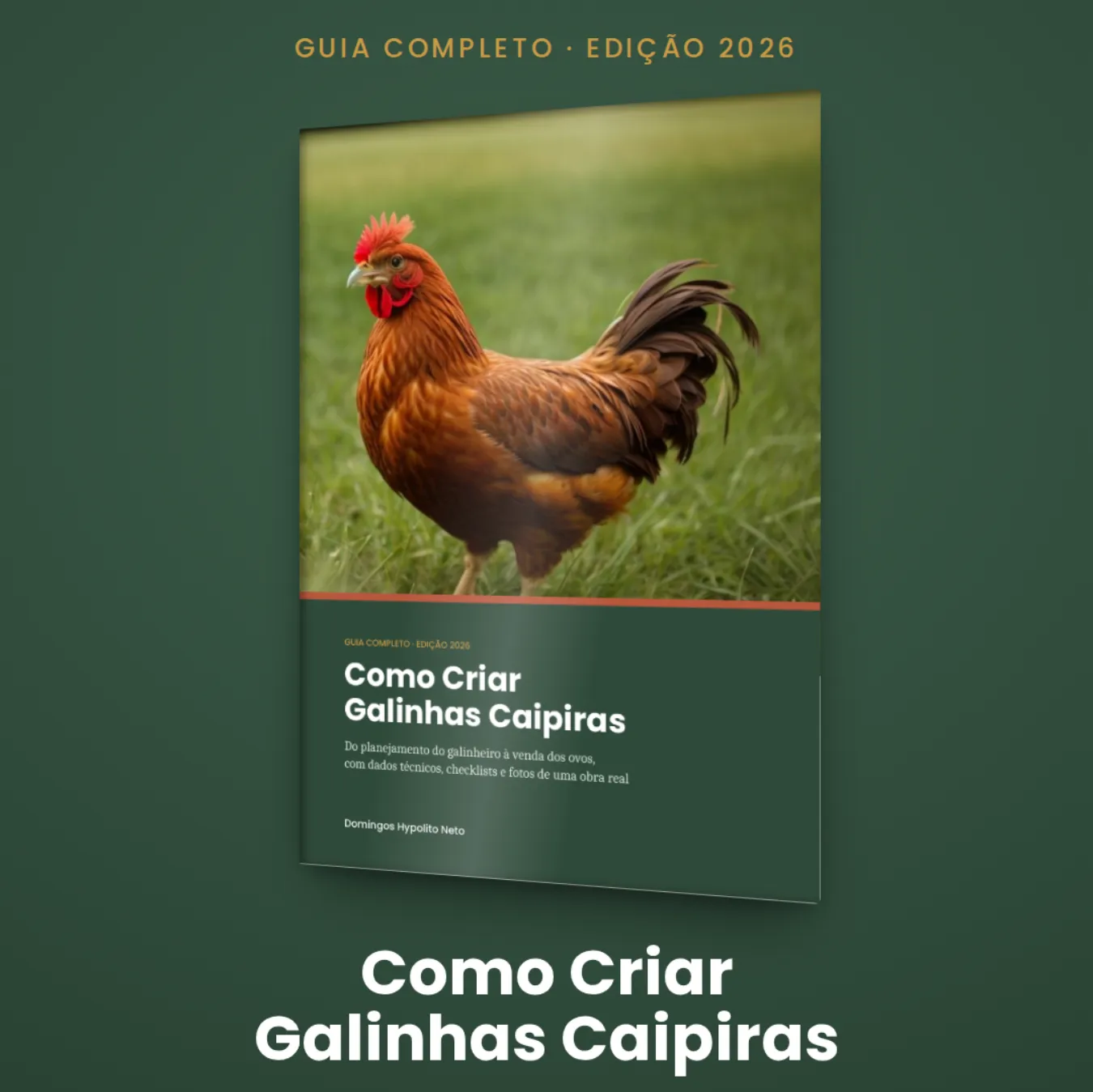 Como Criar Galinhas Caipiras — guia completo