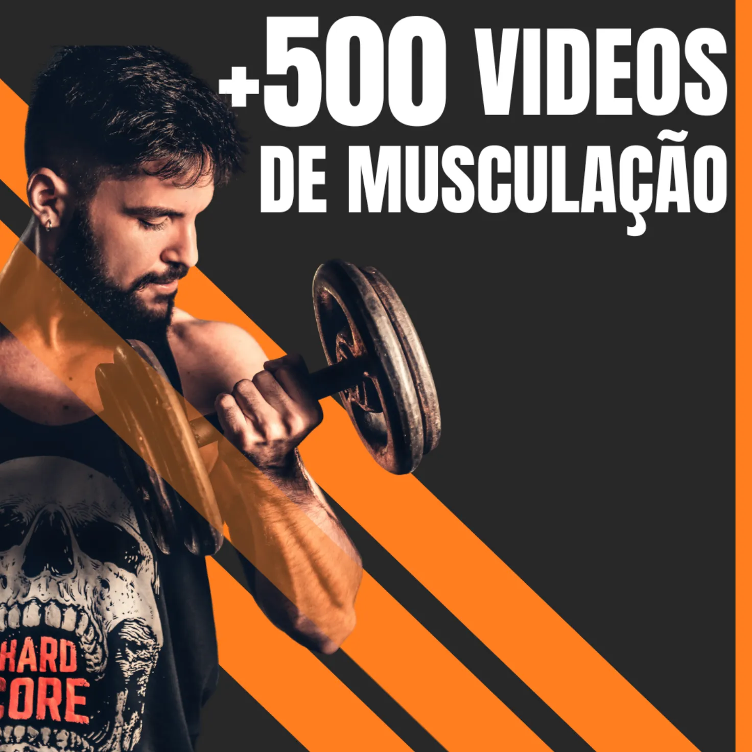 💪🏻+500 Exercícios de Musculação