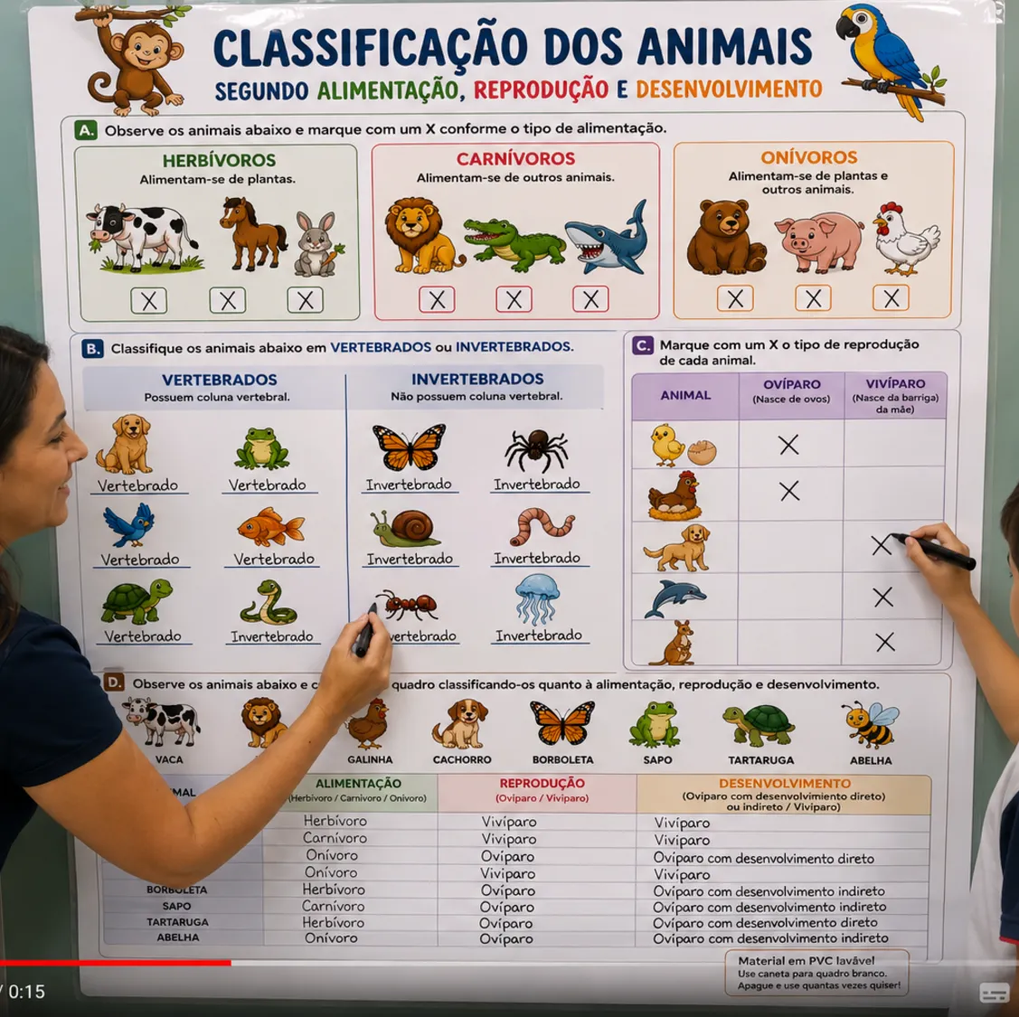 Classificação dos animais segundo alimentação, desenvolvimento e estrutura física